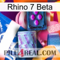 Rhino 7 Beta 37